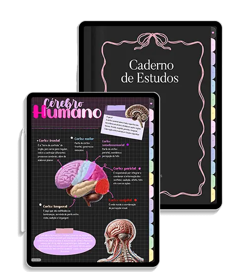 Caderno Digital