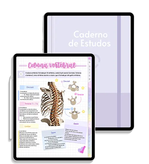 Caderno Digital