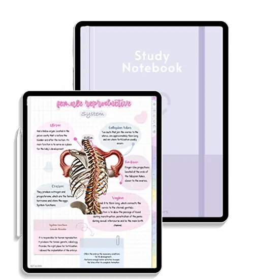 Caderno Digital para Tablet